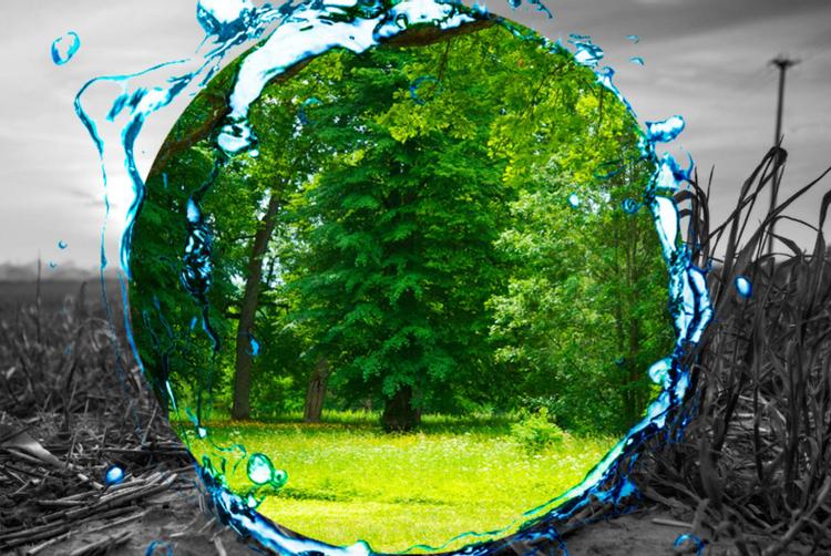 Montemezzi Travel Experience | Vigasio | 4