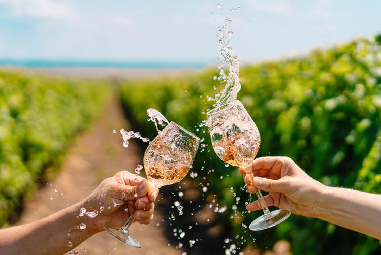 Montemezzi Travel Experience | Vigasio | 1