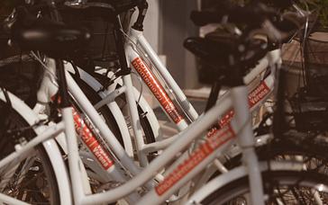 Montemezzi Travel Experience | Vigasio | Galleria 11