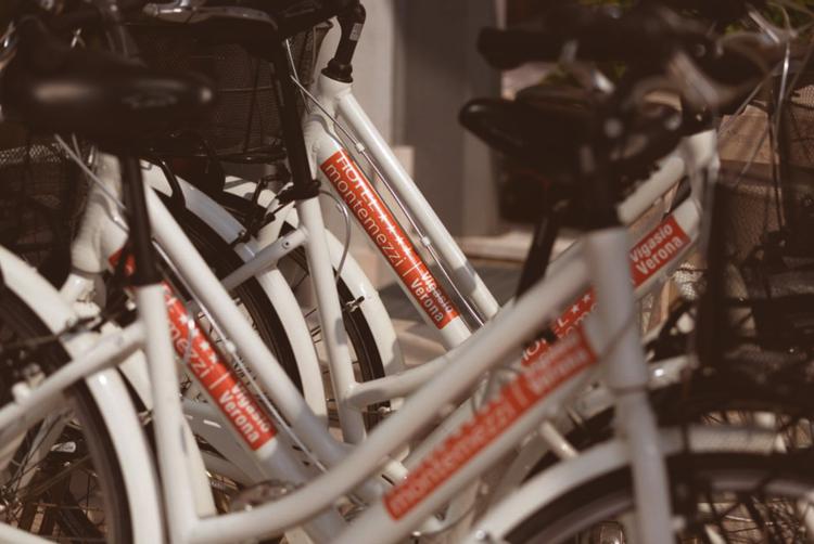 Montemezzi Travel Experience | Vigasio | 9