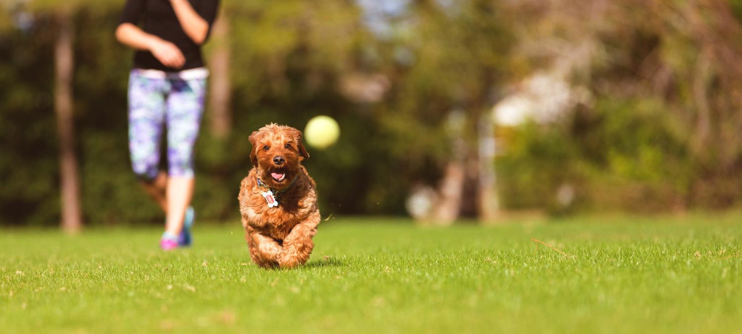 Montemezzi Travel Experience | Vigasio | 3