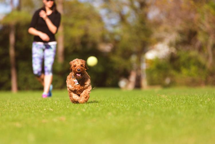 Montemezzi Travel Experience | Vigasio | 3