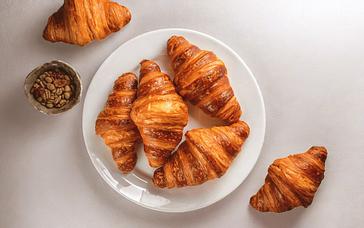 Montemezzi Travel Experience | Vigasio | Galleria 12