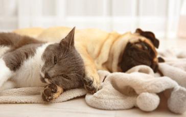 Montemezzi Travel Experience | Vigasio | Photos 63