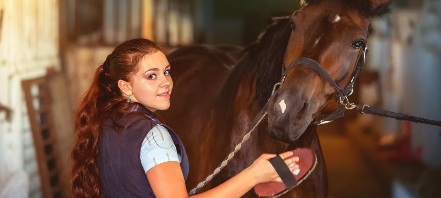 Montemezzi Travel Experience | Vigasio | 4