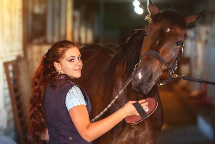 Montemezzi Travel Experience | Vigasio | 3