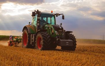 Montemezzi Travel Experience | Vigasio | Photos 72