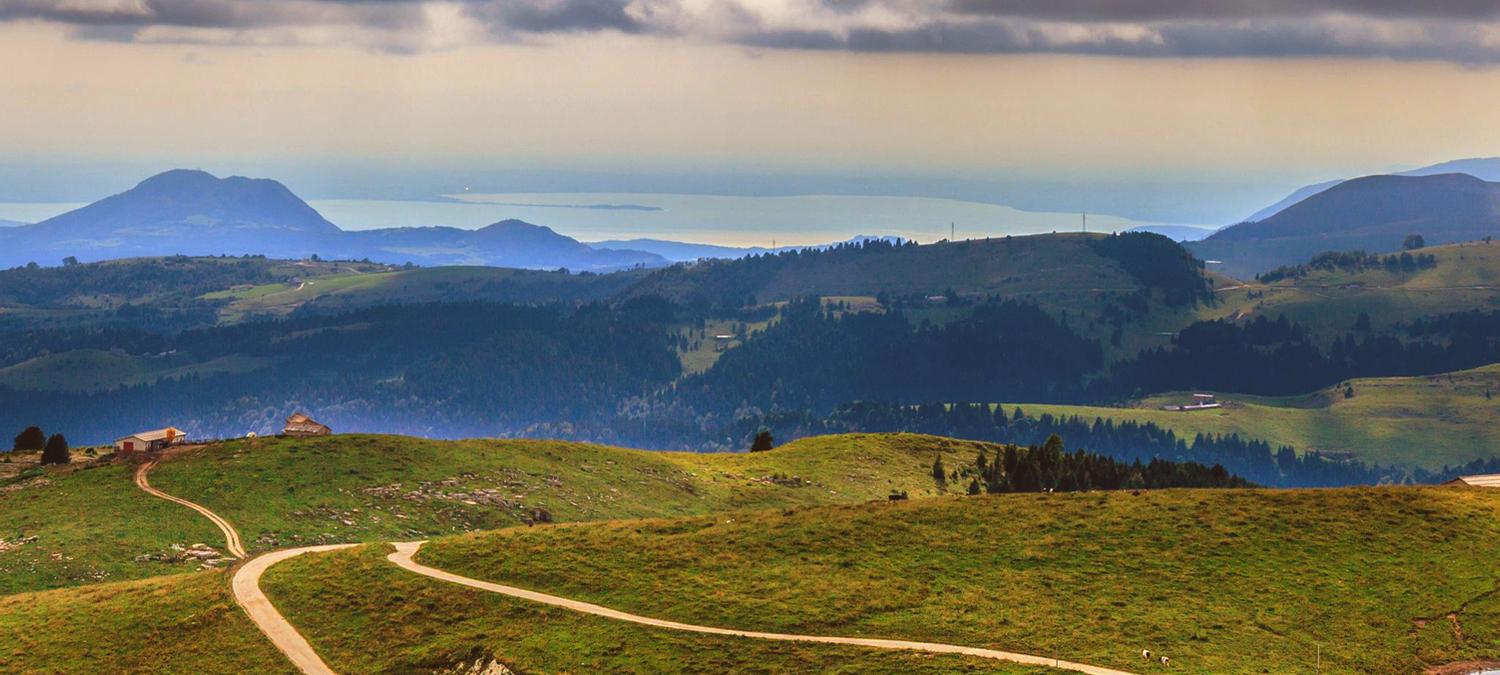 Montemezzi Travel Experience | Vigasio | 1