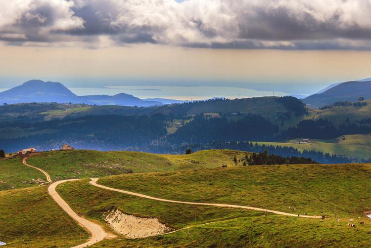 Montemezzi Travel Experience | Vigasio | 2