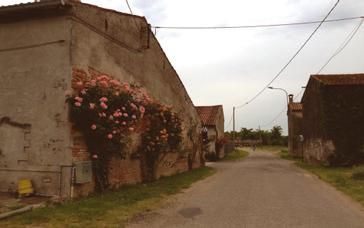 Montemezzi Travel Experience | Vigasio | Photos 35