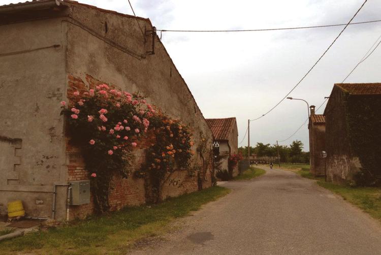 Montemezzi Travel Experience | Vigasio | 3