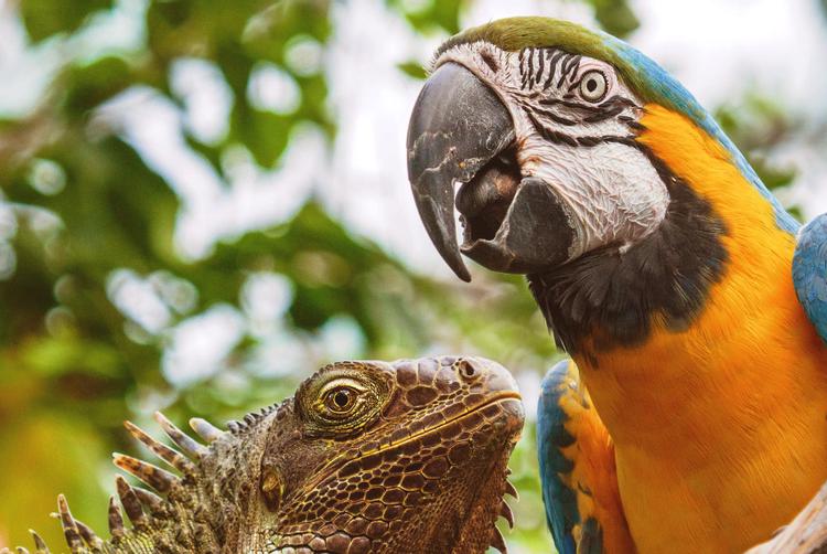 Montemezzi Travel Experience | Vigasio | 4