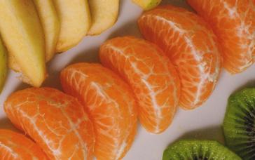 Montemezzi Travel Experience | Vigasio | Photos 18