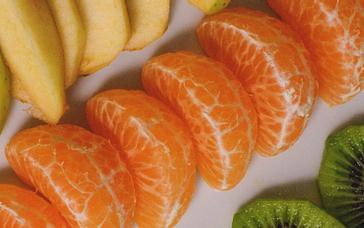 Montemezzi Travel Experience | Vigasio | Galleria 17