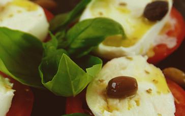 Montemezzi Travel Experience | Vigasio | Galleria 37