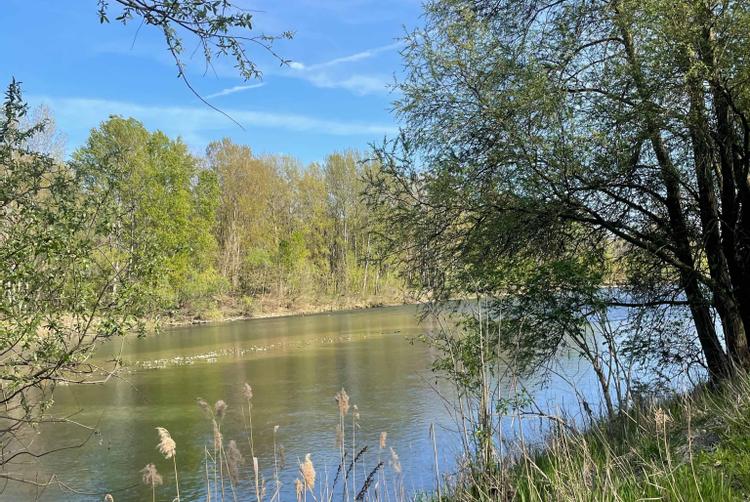 Montemezzi Travel Experience | Vigasio | 4