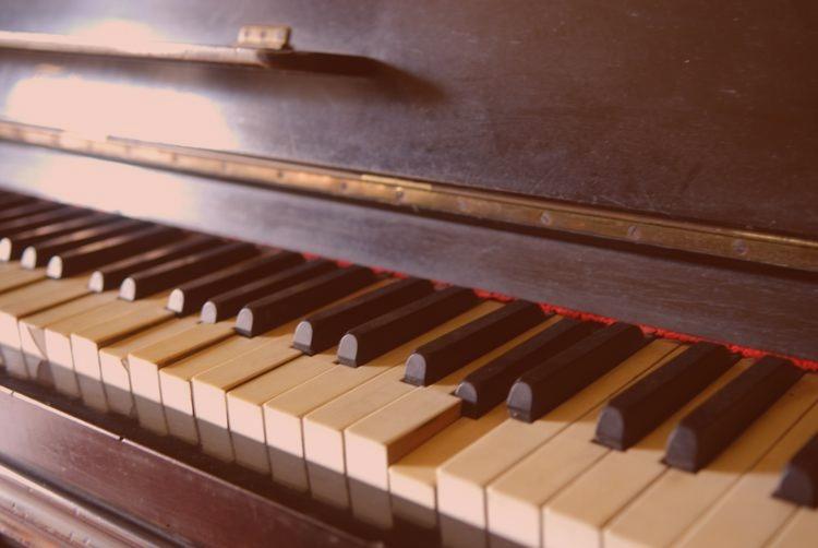 Montemezzi Travel Experience | Vigasio | 2