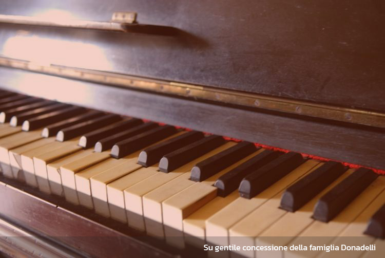 Montemezzi Travel Experience | Vigasio | 2